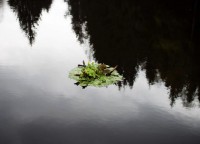 Umělecké projekty - Land Art - je hotovo