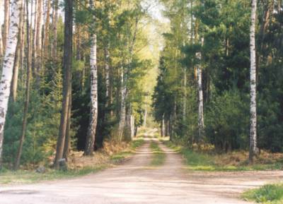 novohradecke-krasne-lesy-na-krizovatce.jpg