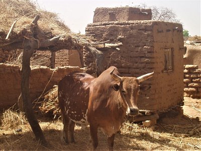 Mali, země Dogonů