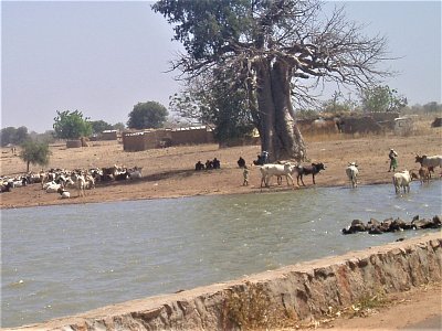 Burkina Faso - napajedlo