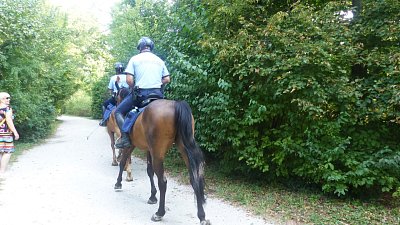 Policie na koních