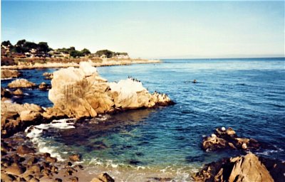 pacific-grove-tuleni.jpg