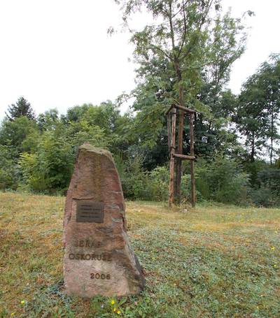 Památný strom města-Jeřáb-Oskeruše