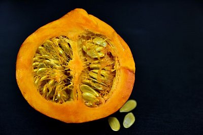 pumpkin-3852191__480.jpg