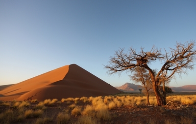 pust namib 3.jpg