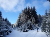 Rozcestí - vlevo na Knížecí Pláně, rovně na Bučinu