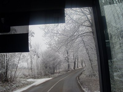 Větve stromů nám vytváří sněhovou bránu