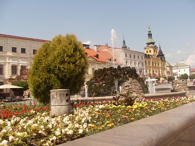 A také mnoho a mnoho květin