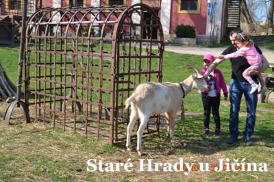 stare-hrady-u-jicina-5-.jpg