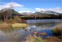 Štrbské pleso - kachny nekrmit!