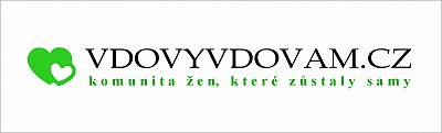 vdovy logo.JPG