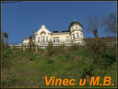 vinec-u-ml.-boleslavi-2-.jpg