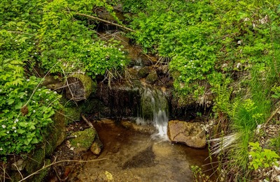 Studánka