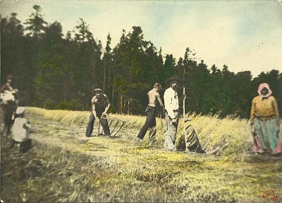 Žně v mé rodné vesničce v roce 1938