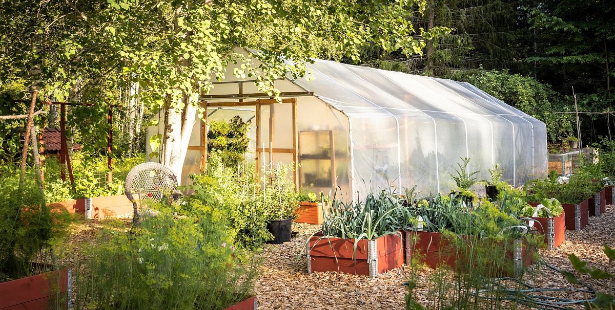 tunnel-greenhouse-g121837521_1920.jpg