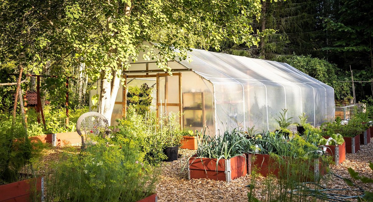 tunnel-greenhouse-g7fc29b5e3_1920.jpg