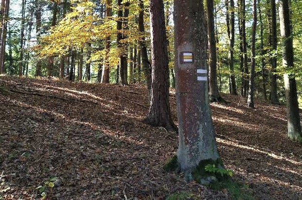 Jak ošálit toho, komu se nechce chodit