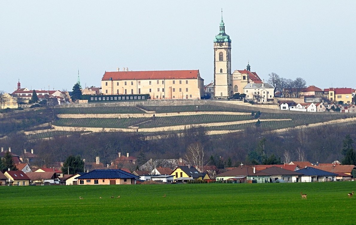 Poutní cesta Říp-Blaník - část 2