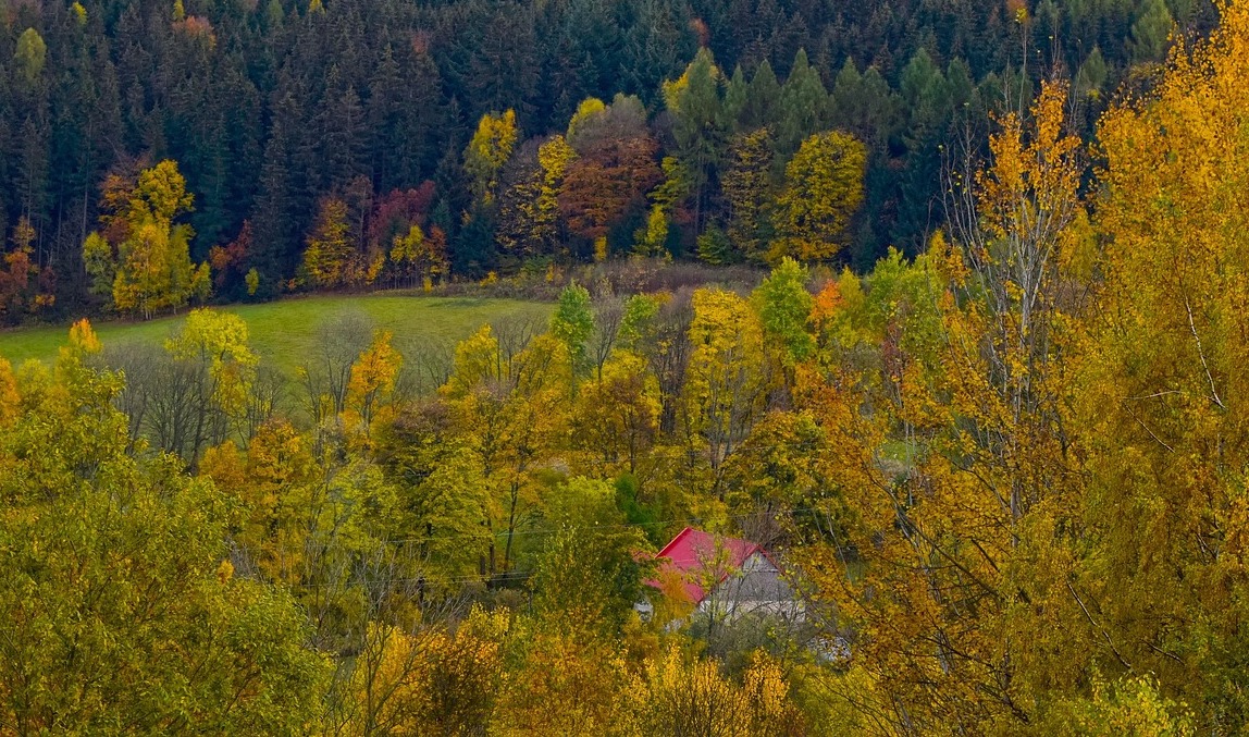 O tom, jak mi Němci sebrali barák po Němcích