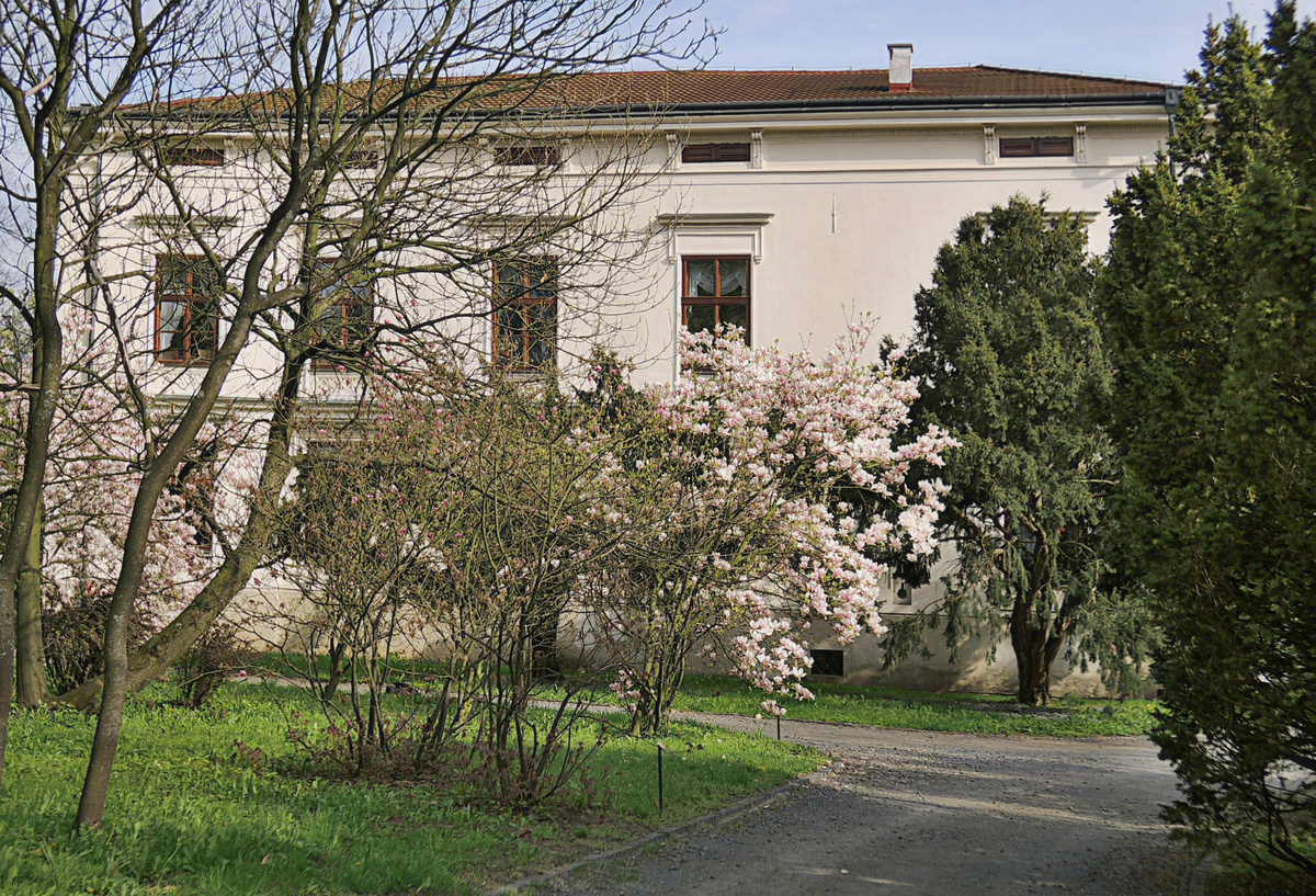 Fotoreportáž: Zámek a park v Lešné